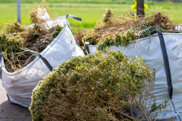 Best Construction Debris Removal  in Williamston, SC